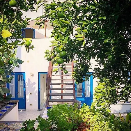 Bed & Breakfast Punta Sallustro 4*