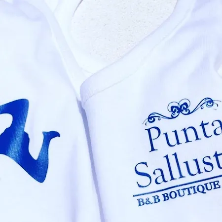 Punta Sallustro 住宿加早餐酒店
