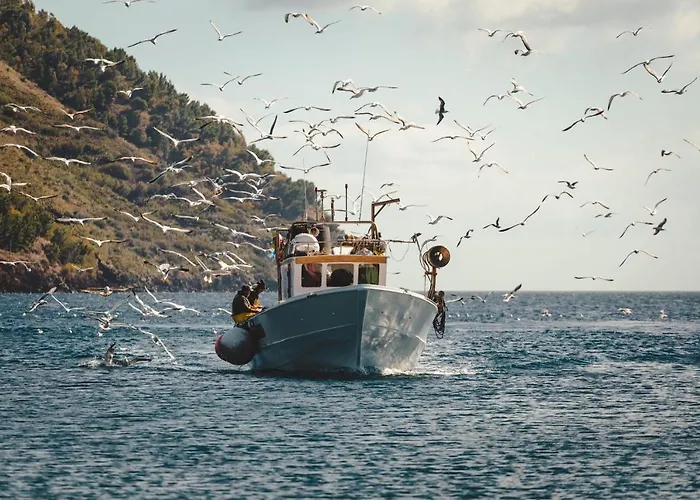 住宿加早餐酒店 Punta Sallustro