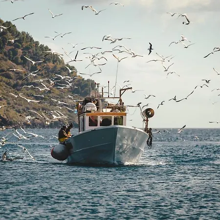 فندق مبيت وإفطار Punta Sallustro