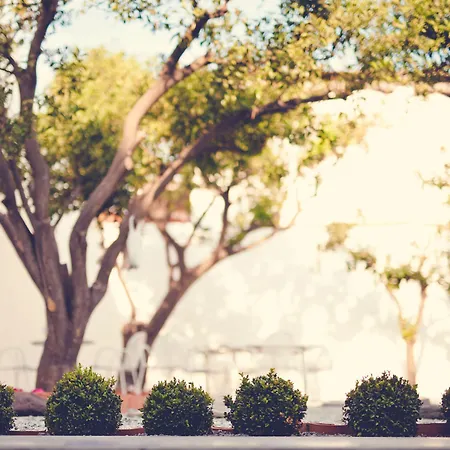 Punta Sallustro فندق مبيت وإفطار 4*