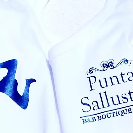 Punta Sallustro