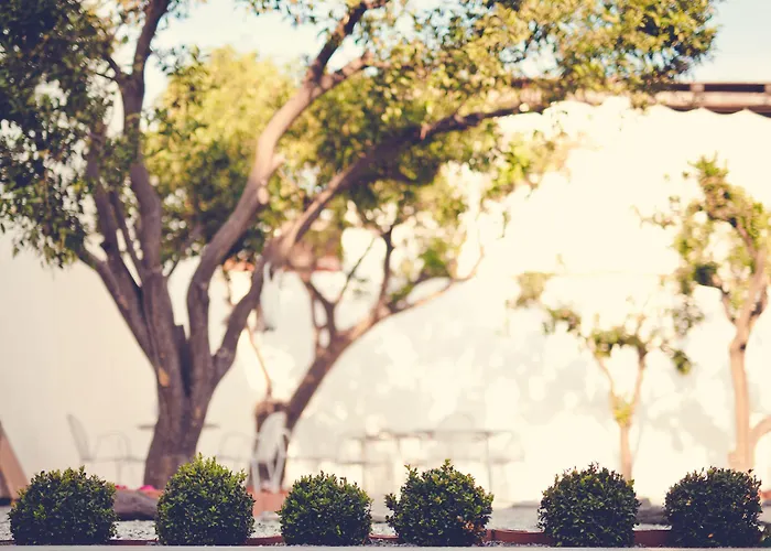 Punta Sallustro Bed & Breakfast 4*